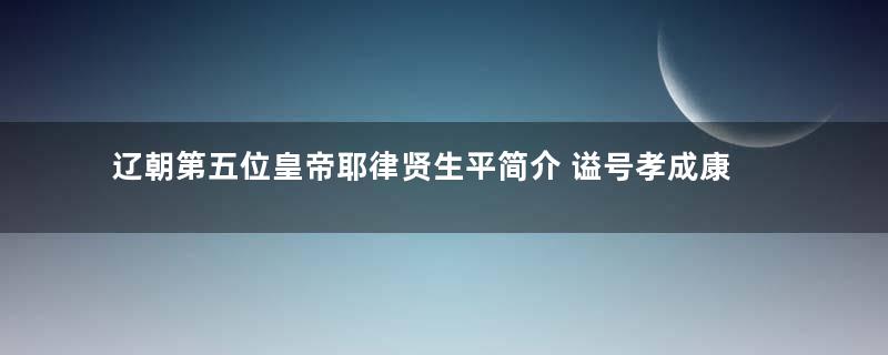 辽朝第五位皇帝耶律贤生平简介 谥号孝成康静皇帝,葬乾陵